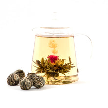 Load image into Gallery viewer, Glass Tea Pot - Garden